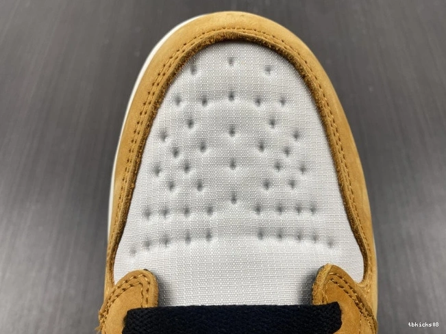 Reps TBkick Curry DB2889-700 High Element Light 1 Jordan Gore-Tex 0807